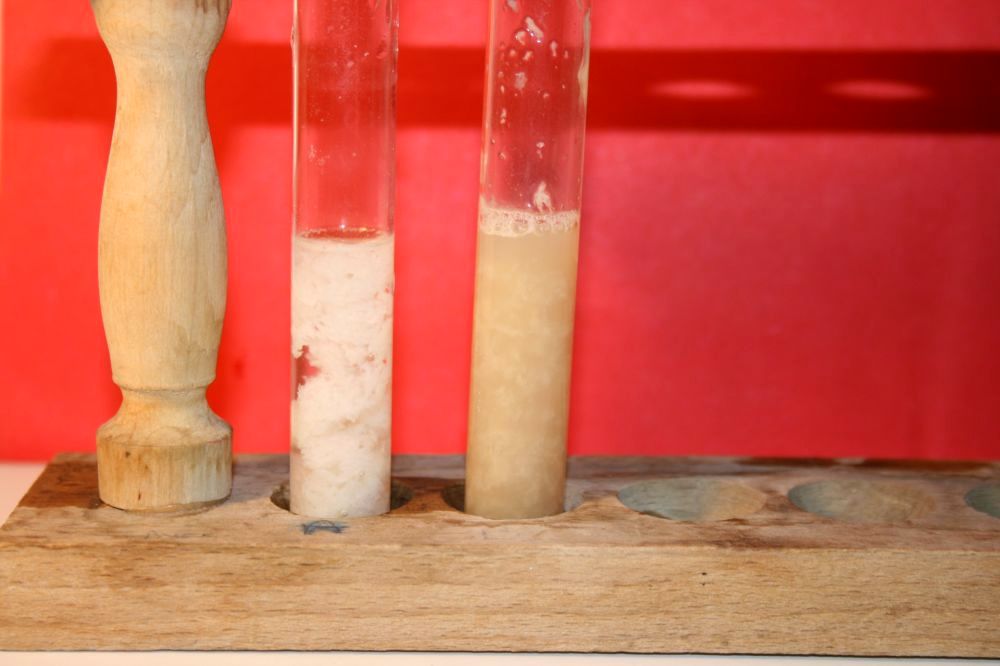 gal/LES_CINQUIEMES/ACTIVITE DIGESTION IN VITRO/Groupe_02/Groupe02_T_02h00min/Groupe02_temps02H00min_35.jpg